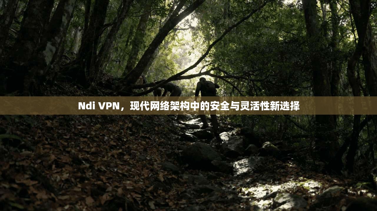 Ndi VPN，现代网络架构中的安全与灵活性新选择