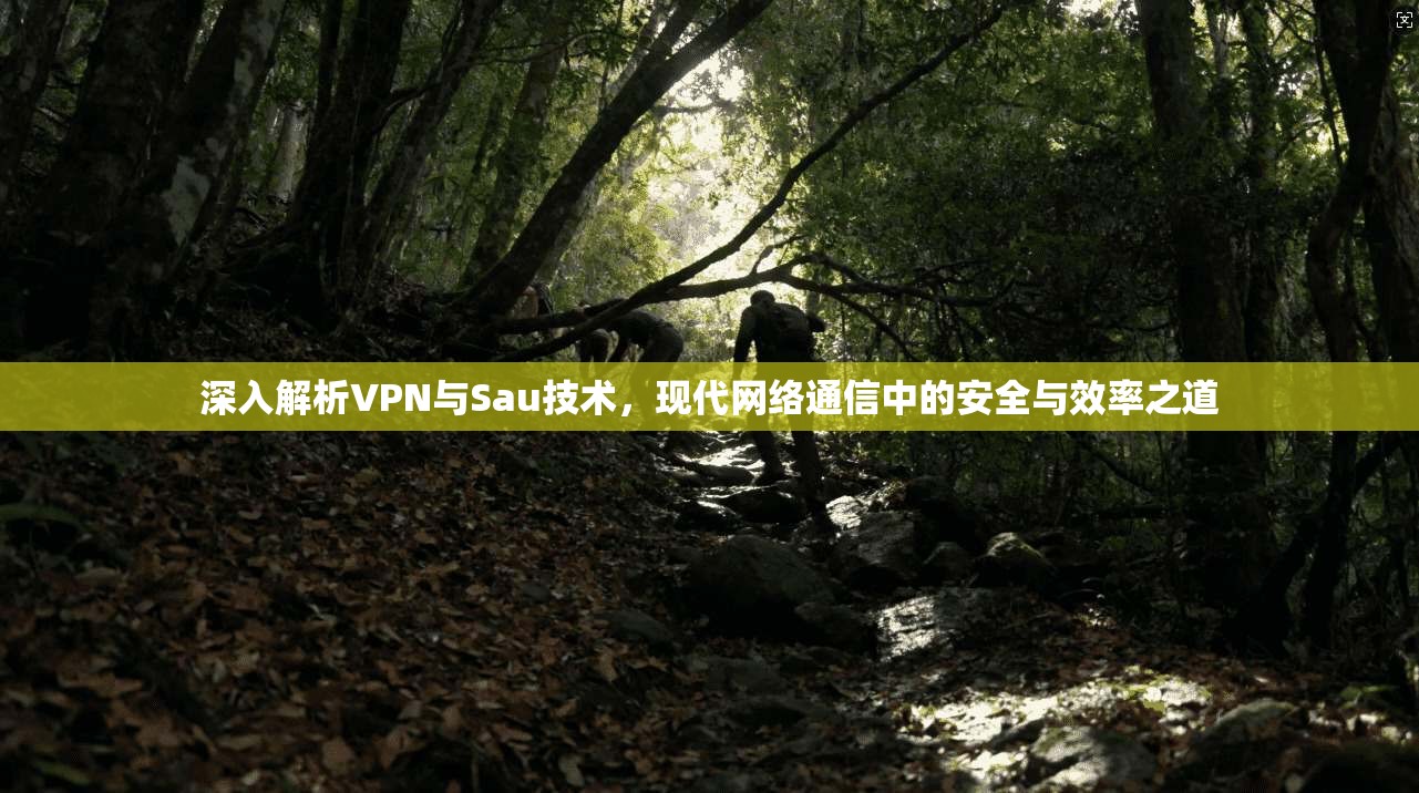 深入解析VPN与Sau技术，现代网络通信中的安全与效率之道