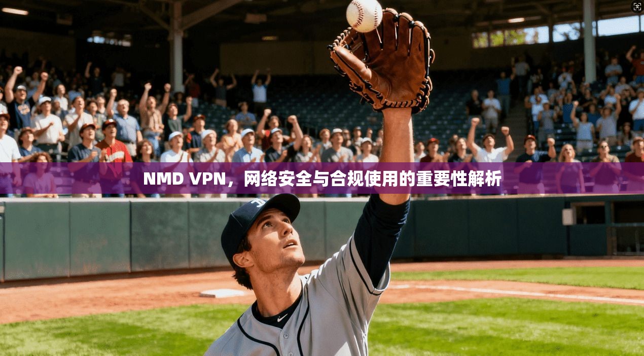 NMD VPN，网络安全与合规使用的重要性解析