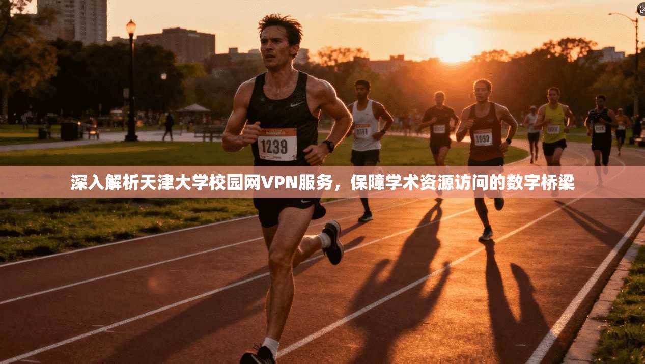 深入解析天津大学校园网VPN服务，保障学术资源访问的数字桥梁