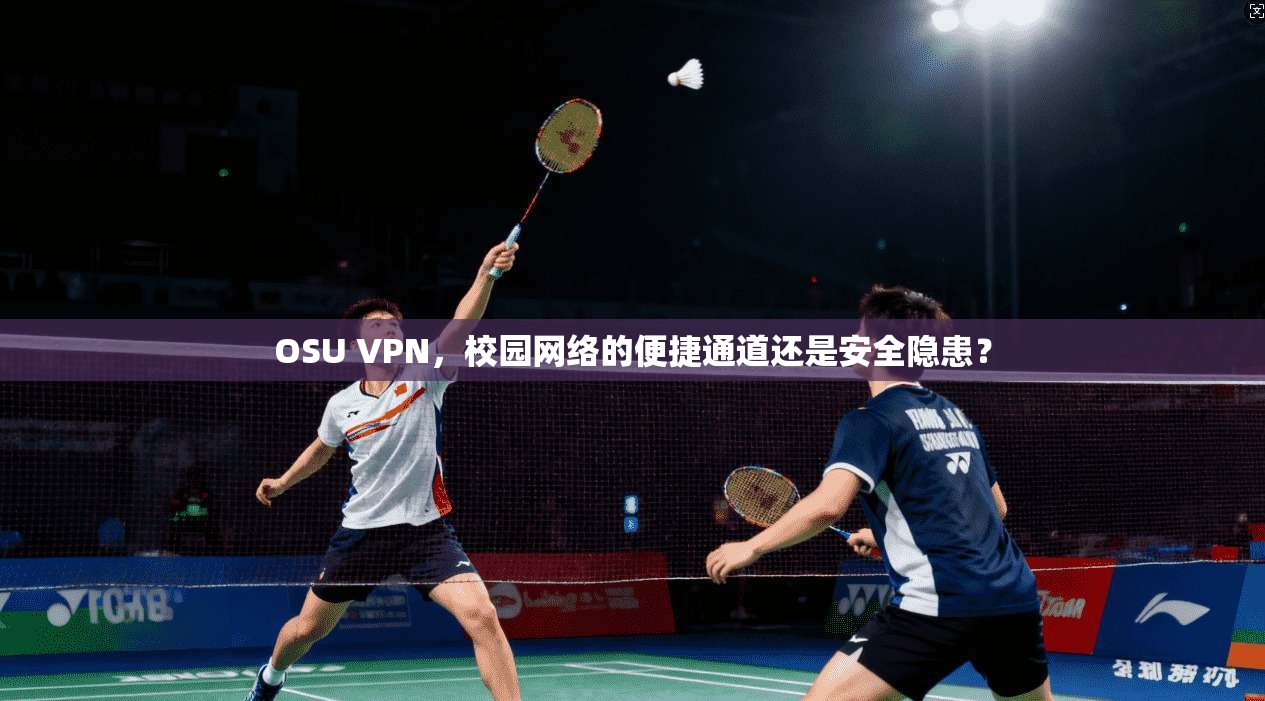 OSU VPN，校园网络的便捷通道还是安全隐患？