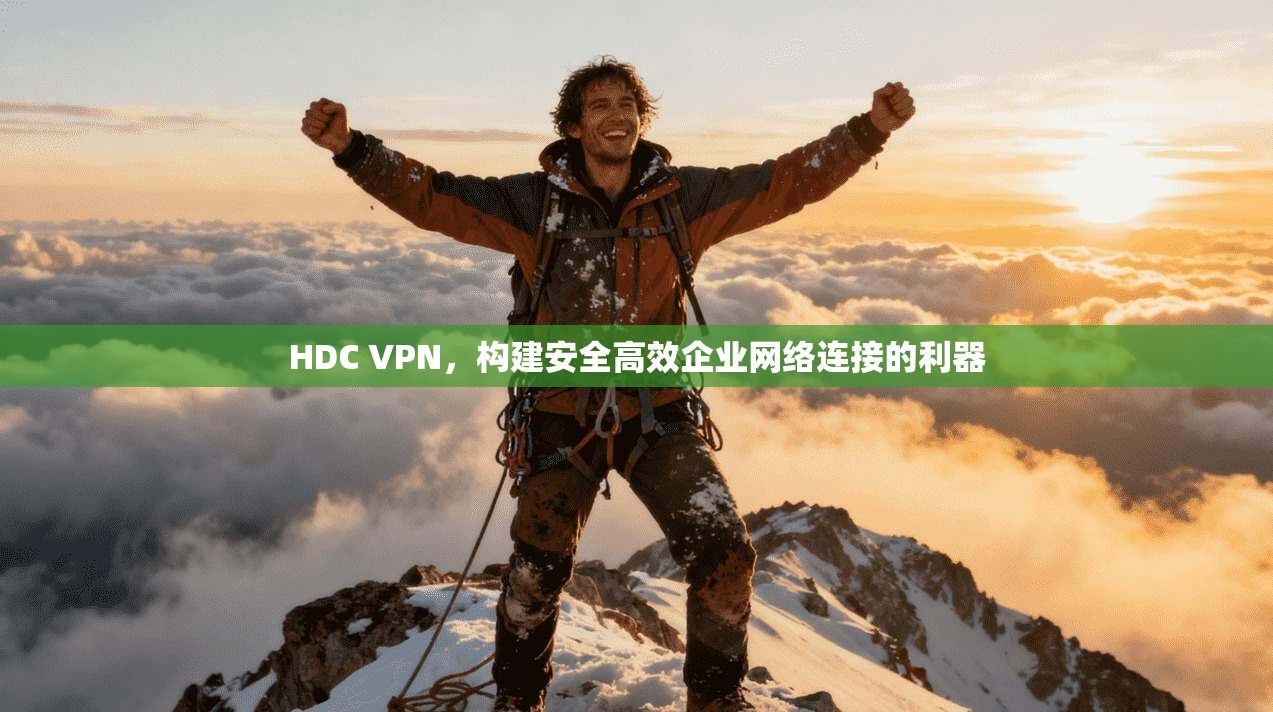 HDC VPN，构建安全高效企业网络连接的利器
