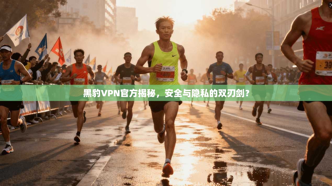 黑豹VPN官方揭秘,安全与隐私的双刃剑?