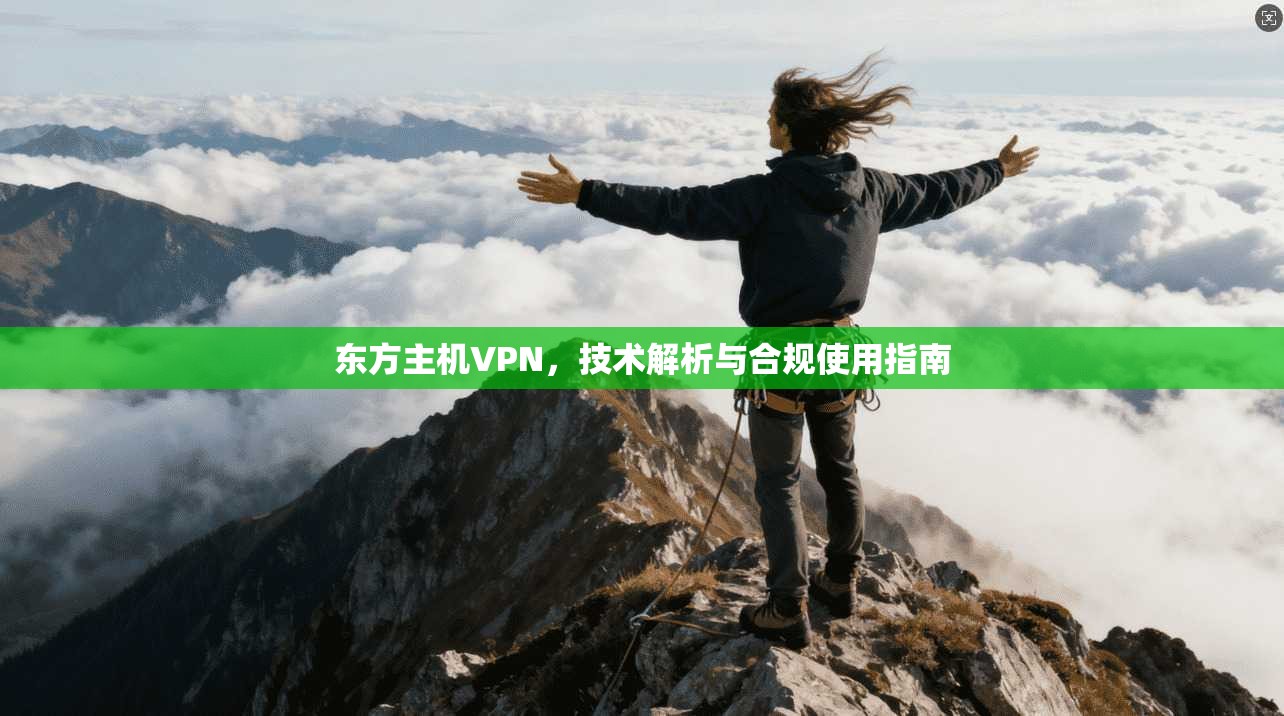 东方主机VPN，技术解析与合规使用指南