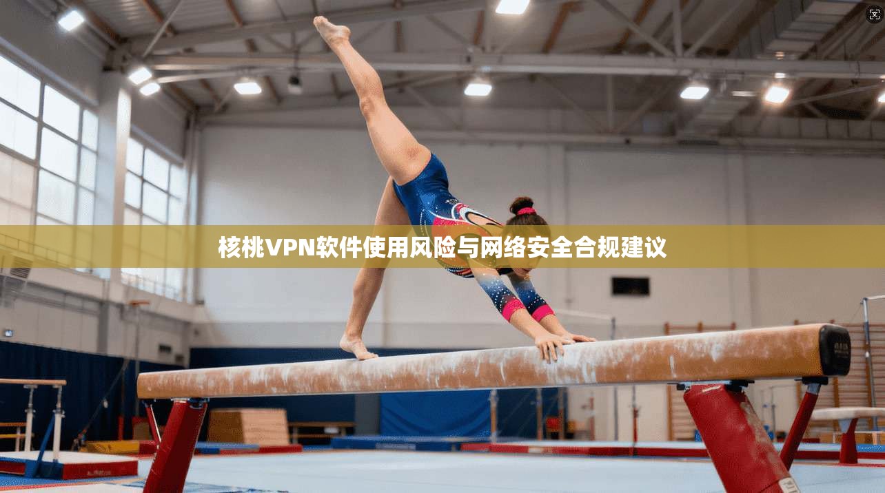 核桃VPN软件使用风险与网络安全合规建议