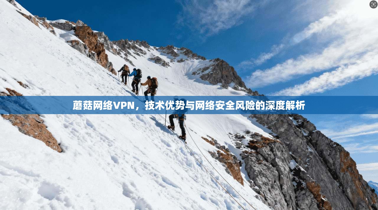 蘑菇网络VPN，技术优势与网络安全风险的深度解析