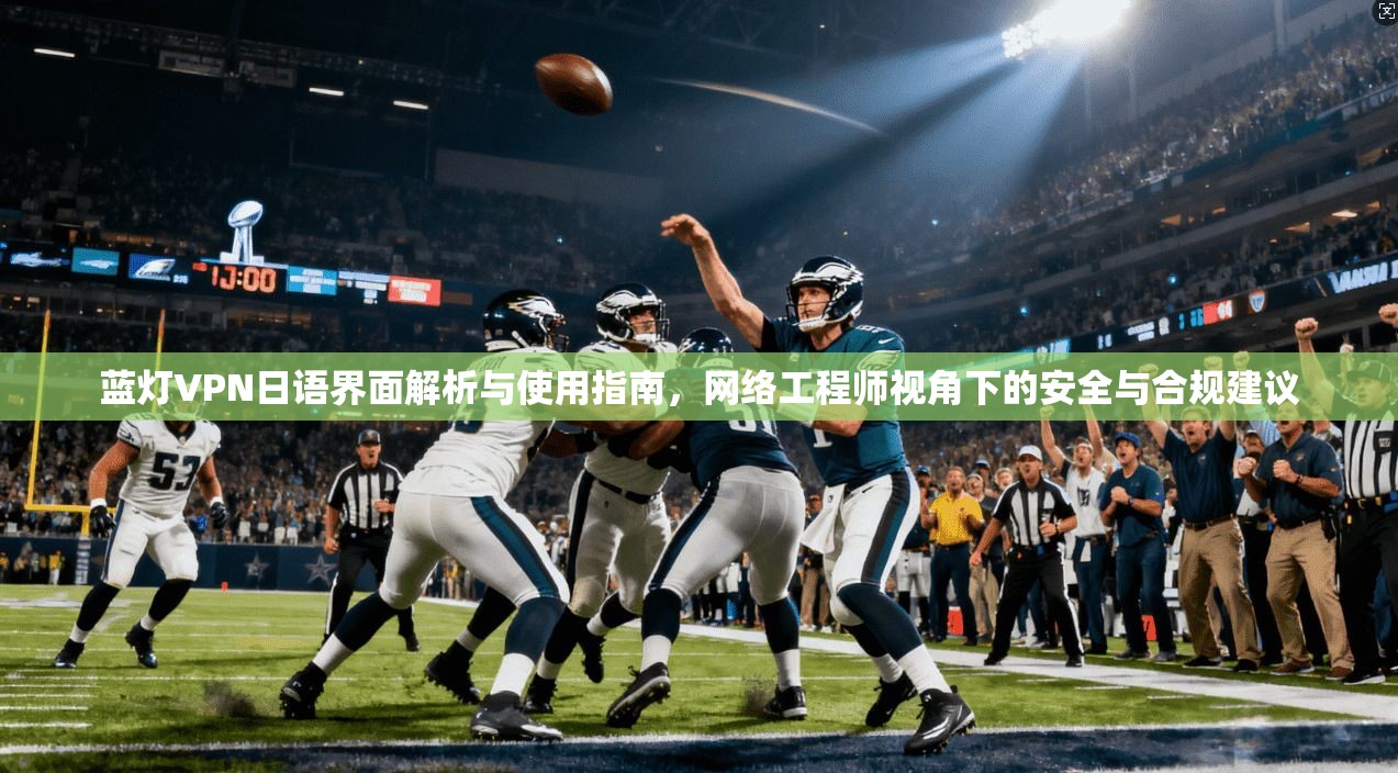 蓝灯VPN日语界面解析与使用指南，网络工程师视角下的安全与合规建议