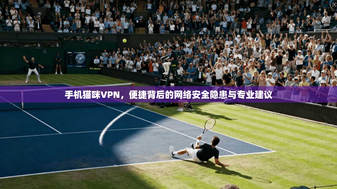 手机猫咪VPN，便捷背后的网络安全隐患与专业建议