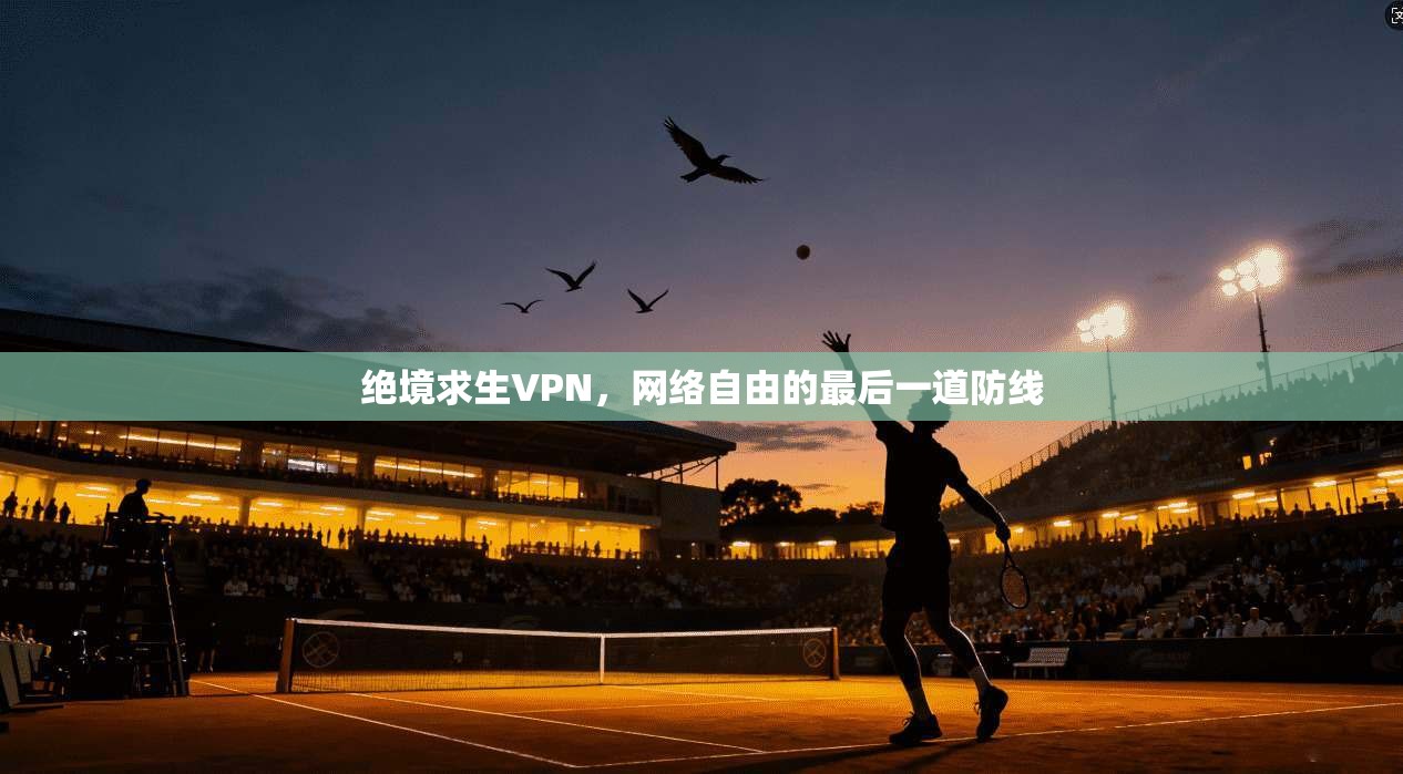 绝境求生VPN，网络自由的最后一道防线