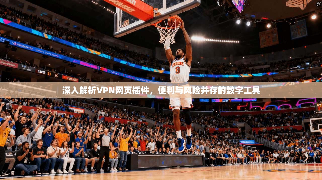 深入解析VPN网页插件，便利与风险并存的数字工具