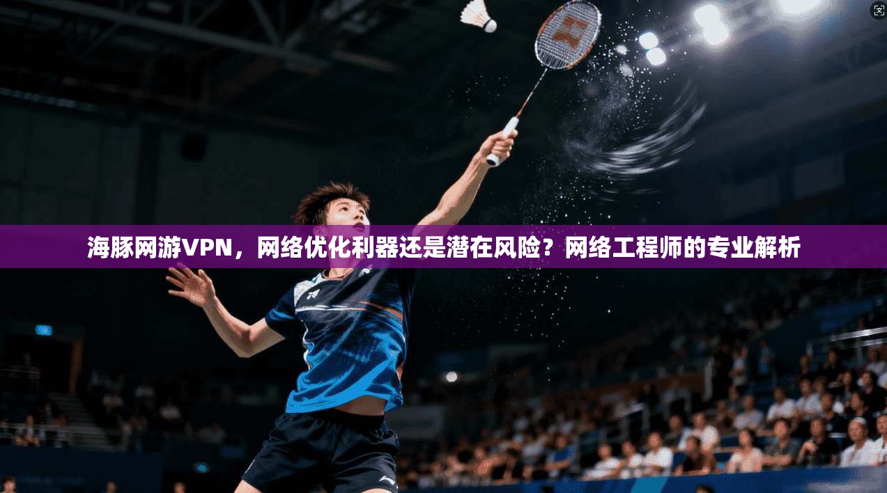 海豚网游VPN，网络优化利器还是潜在风险？网络工程师的专业解析