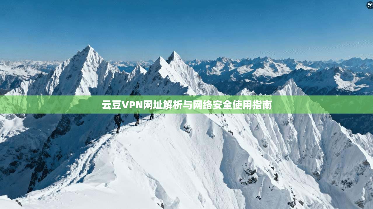 云豆VPN网址解析与网络安全使用指南