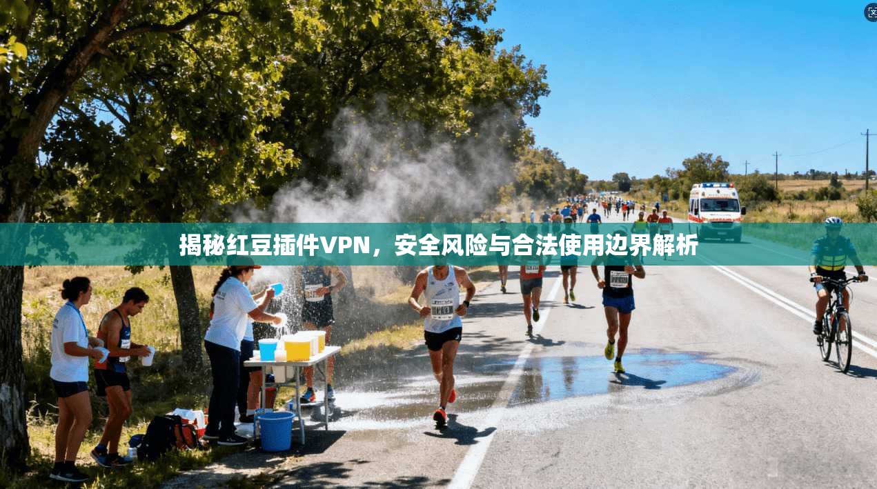 揭秘红豆插件VPN，安全风险与合法使用边界解析