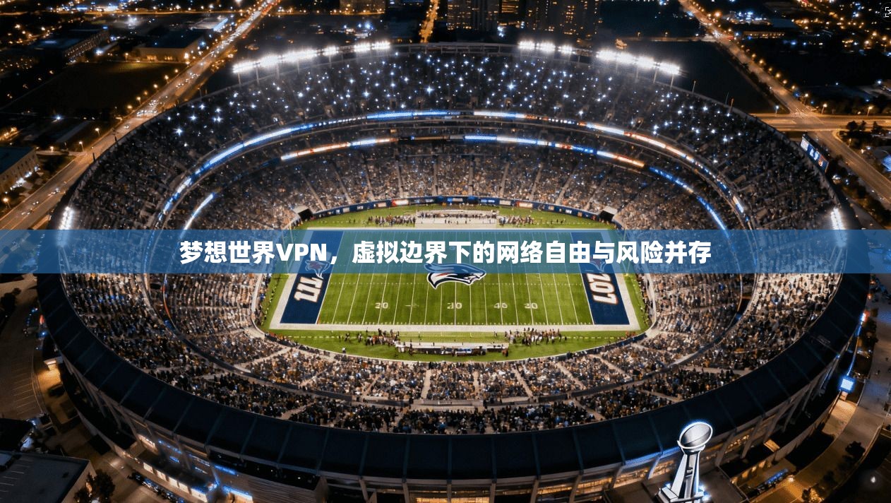 梦想世界VPN，虚拟边界下的网络自由与风险并存