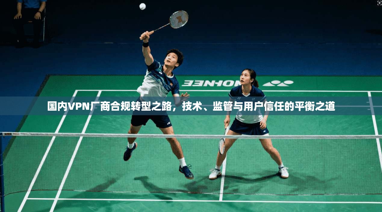 国内VPN厂商合规转型之路，技术、监管与用户信任的平衡之道