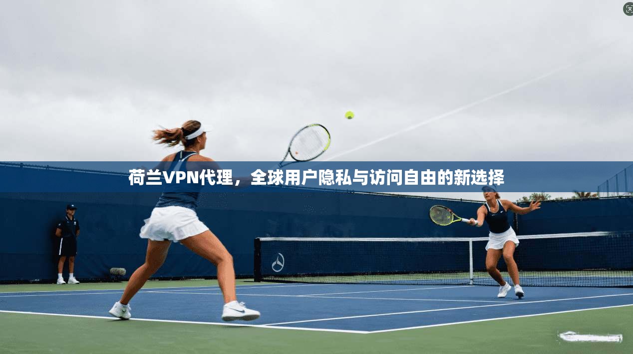 荷兰VPN代理，全球用户隐私与访问自由的新选择