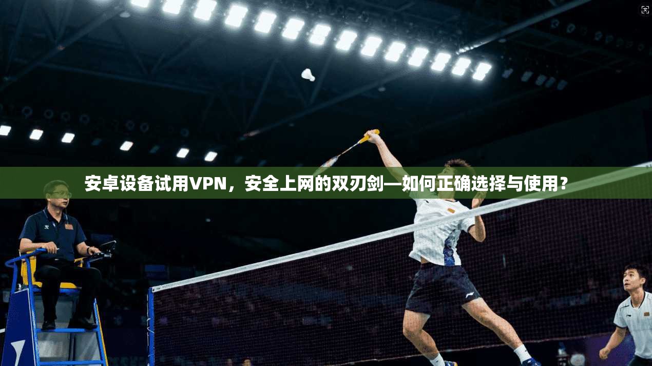 安卓设备试用VPN，安全上网的双刃剑—如何正确选择与使用？