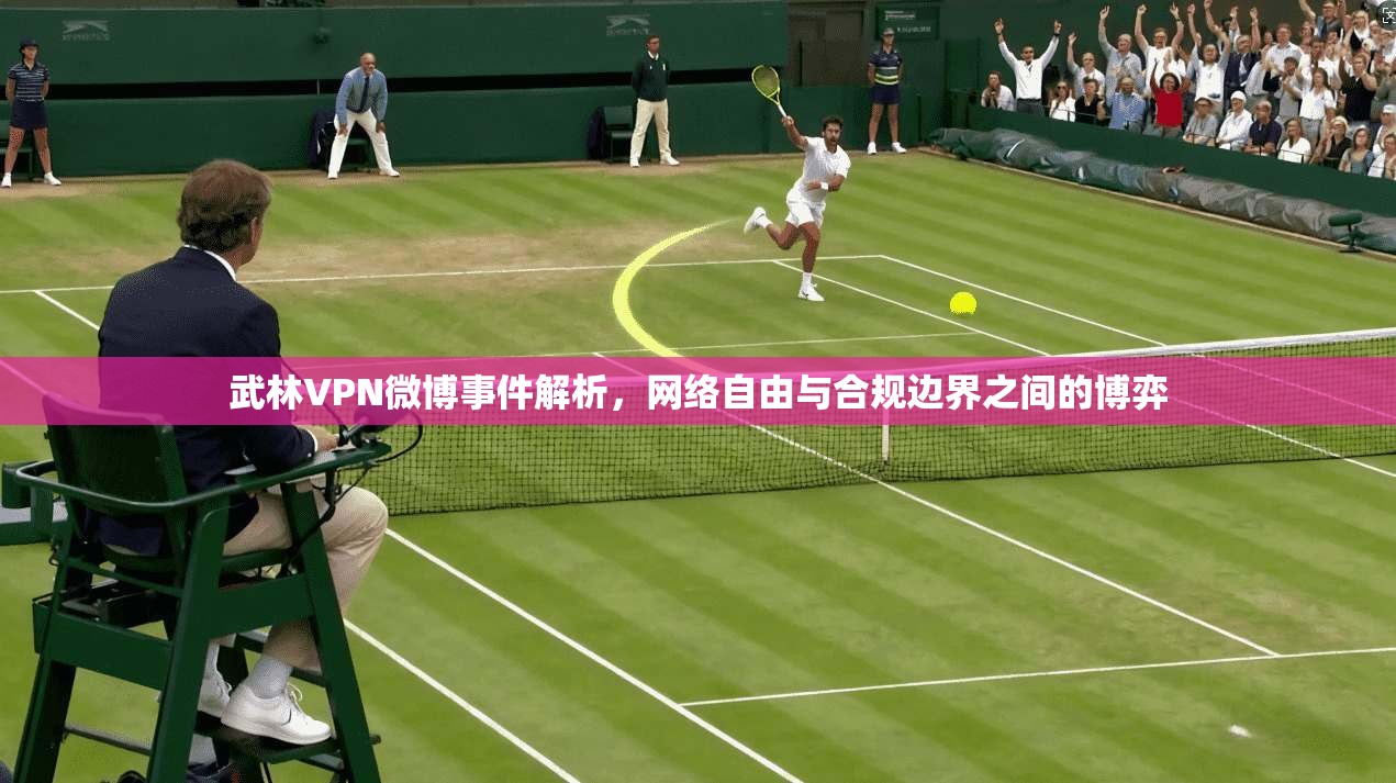 武林VPN微博事件解析，网络自由与合规边界之间的博弈