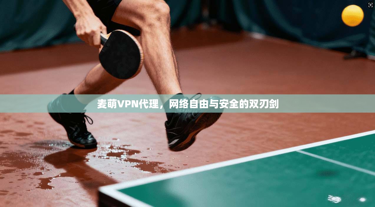 麦萌VPN代理，网络自由与安全的双刃剑
