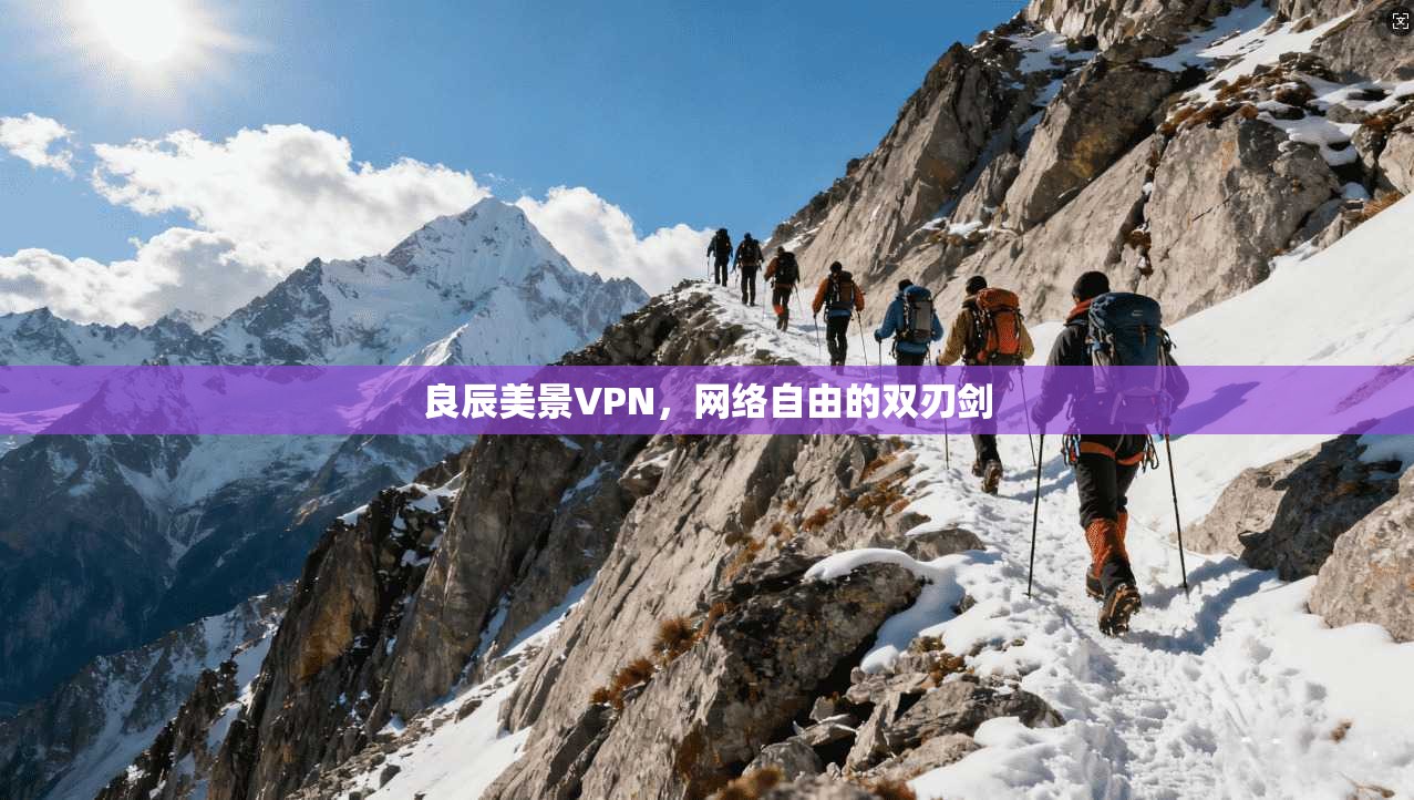 良辰美景VPN，网络自由的双刃剑