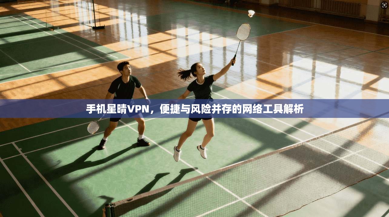 手机星晴VPN，便捷与风险并存的网络工具解析
