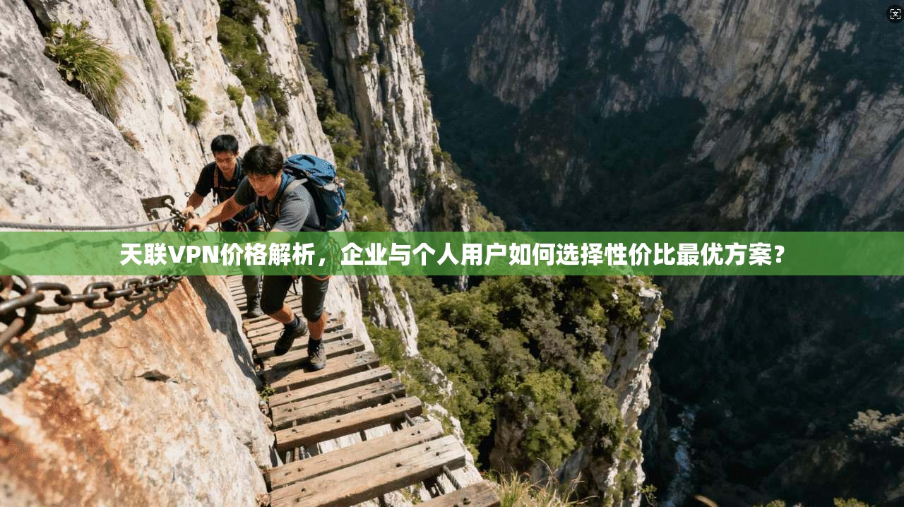 天联VPN价格解析，企业与个人用户如何选择性价比最优方案？