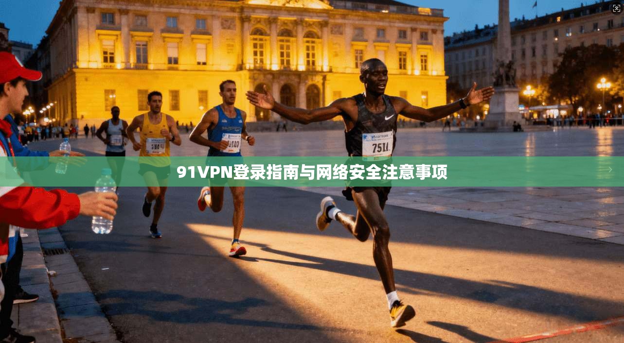 91VPN登录指南与网络安全注意事项