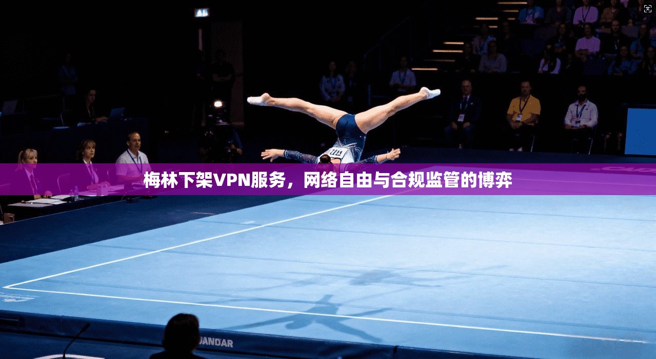 梅林下架VPN服务，网络自由与合规监管的博弈