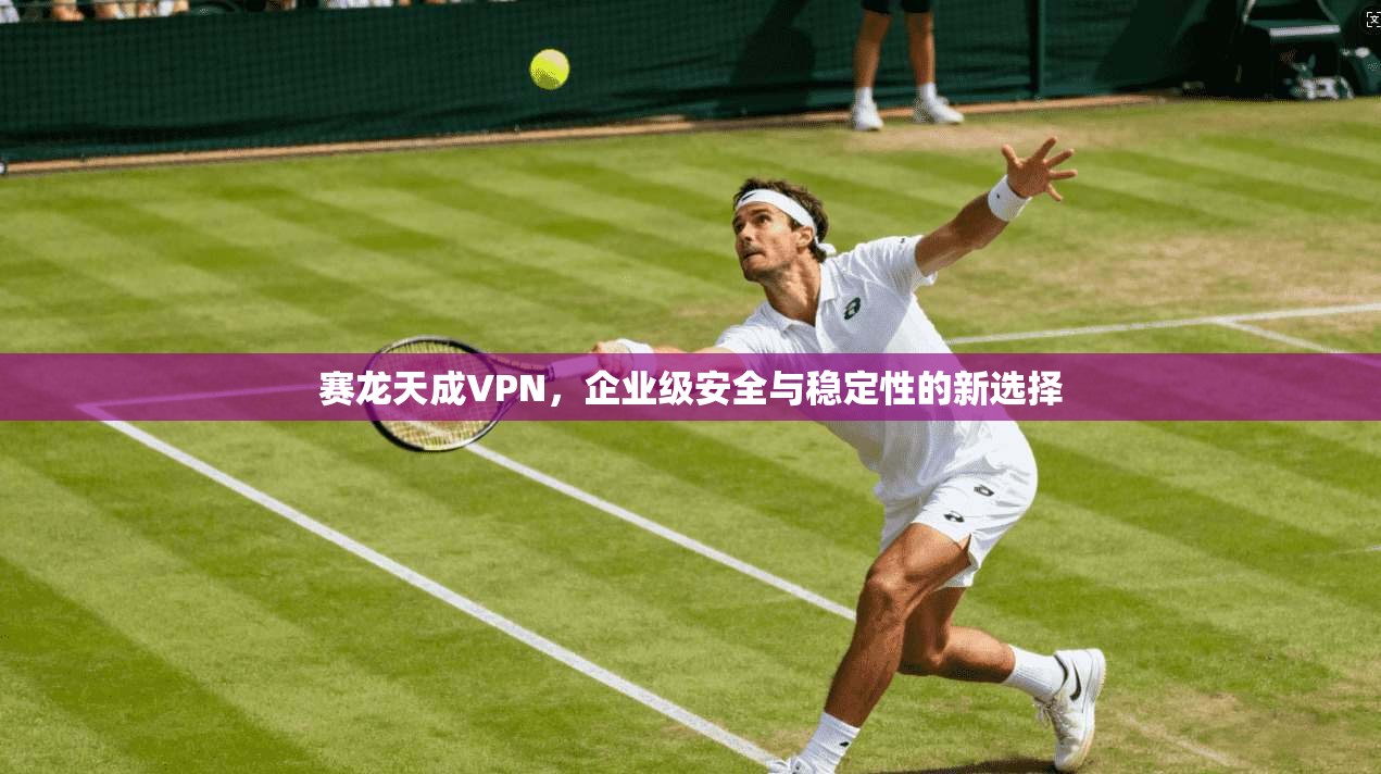 赛龙天成VPN，企业级安全与稳定性的新选择