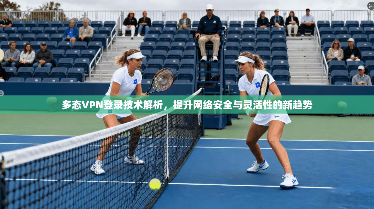 多态VPN登录技术解析，提升网络安全与灵活性的新趋势