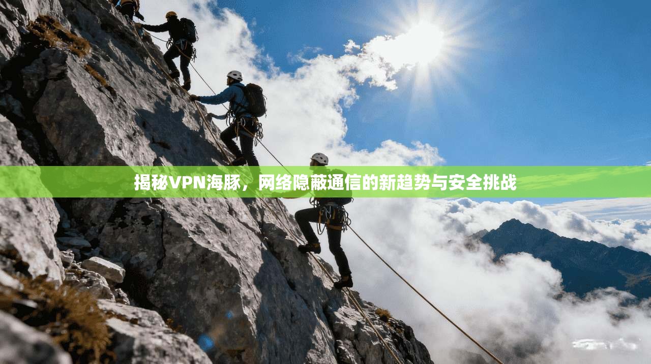 揭秘VPN海豚，网络隐蔽通信的新趋势与安全挑战