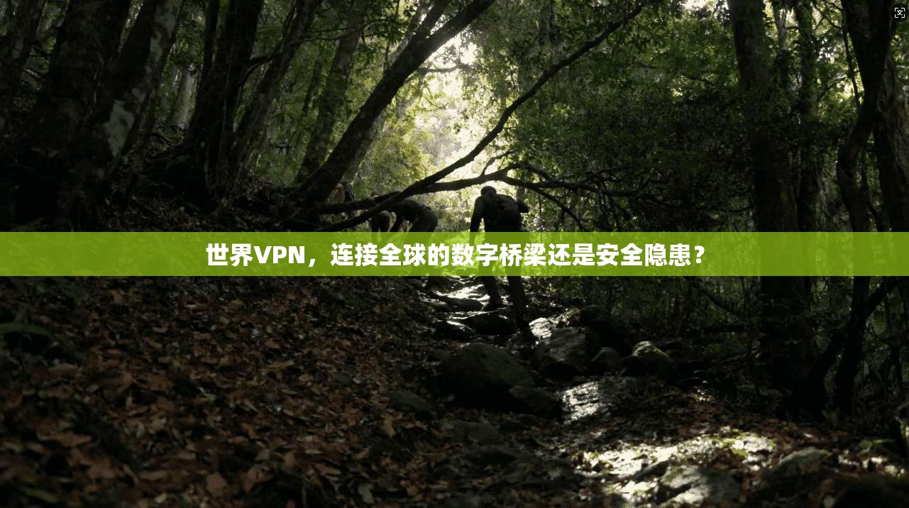 世界VPN，连接全球的数字桥梁还是安全隐患？