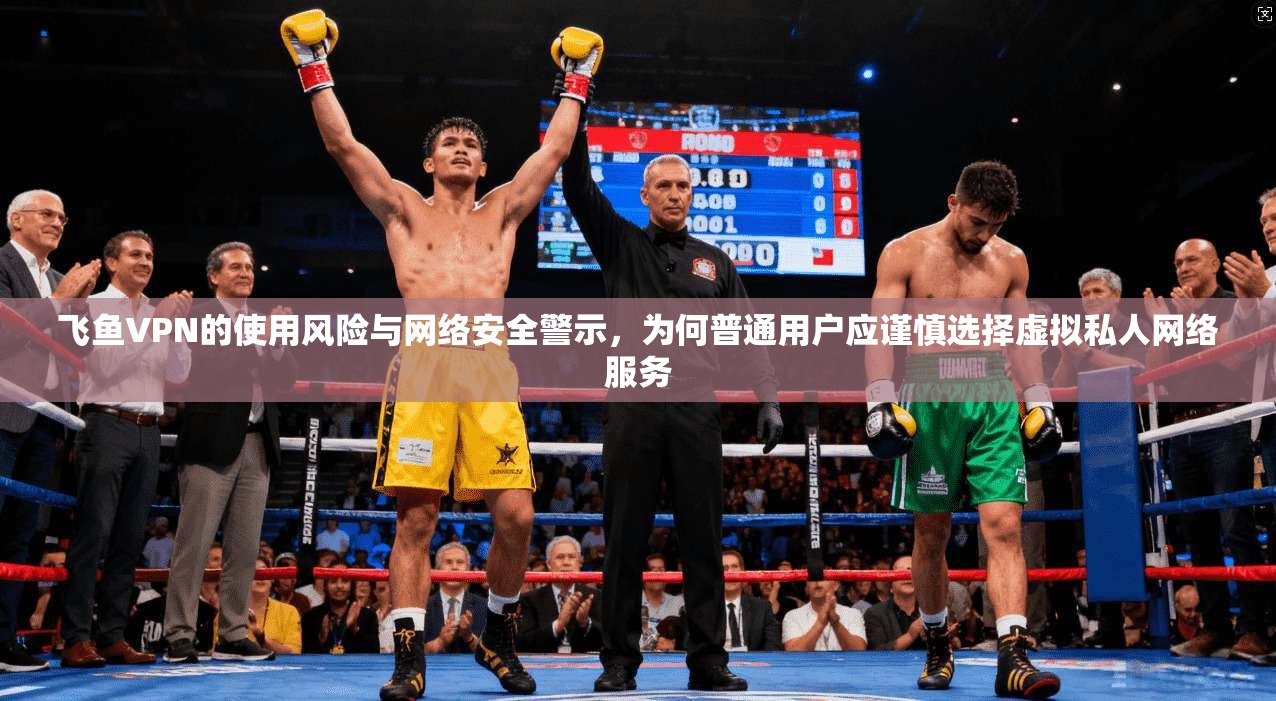 飞鱼VPN的使用风险与网络安全警示，为何普通用户应谨慎选择虚拟私人网络服务