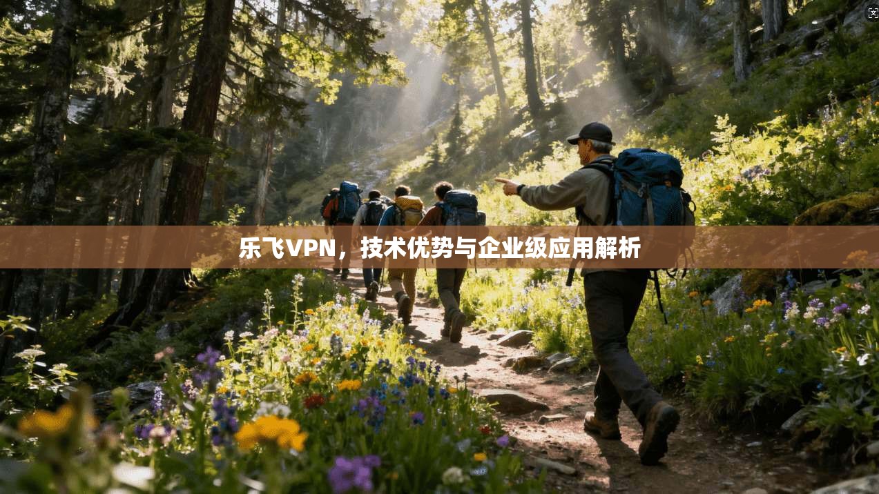 乐飞VPN，技术优势与企业级应用解析