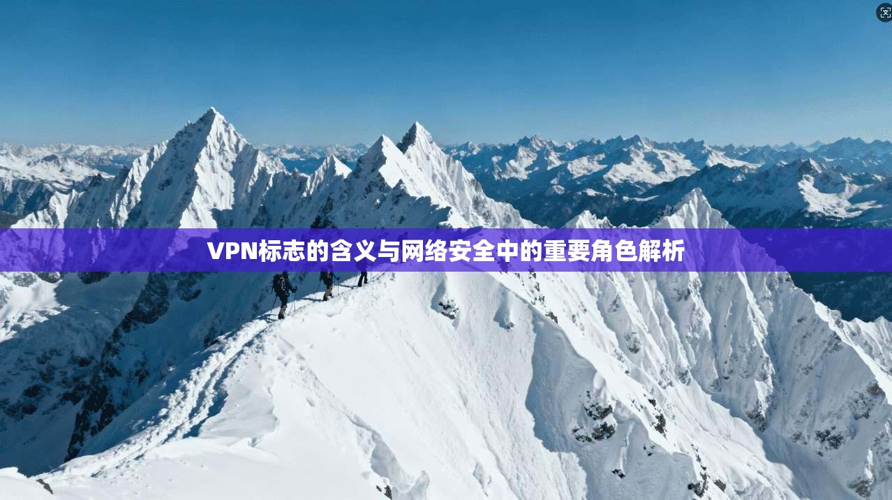 VPN标志的含义与网络安全中的重要角色解析