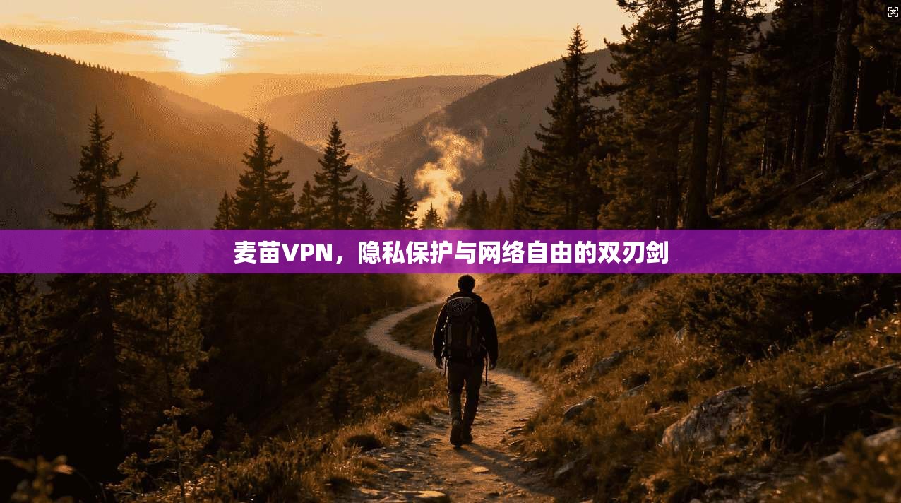 麦苗VPN，隐私保护与网络自由的双刃剑