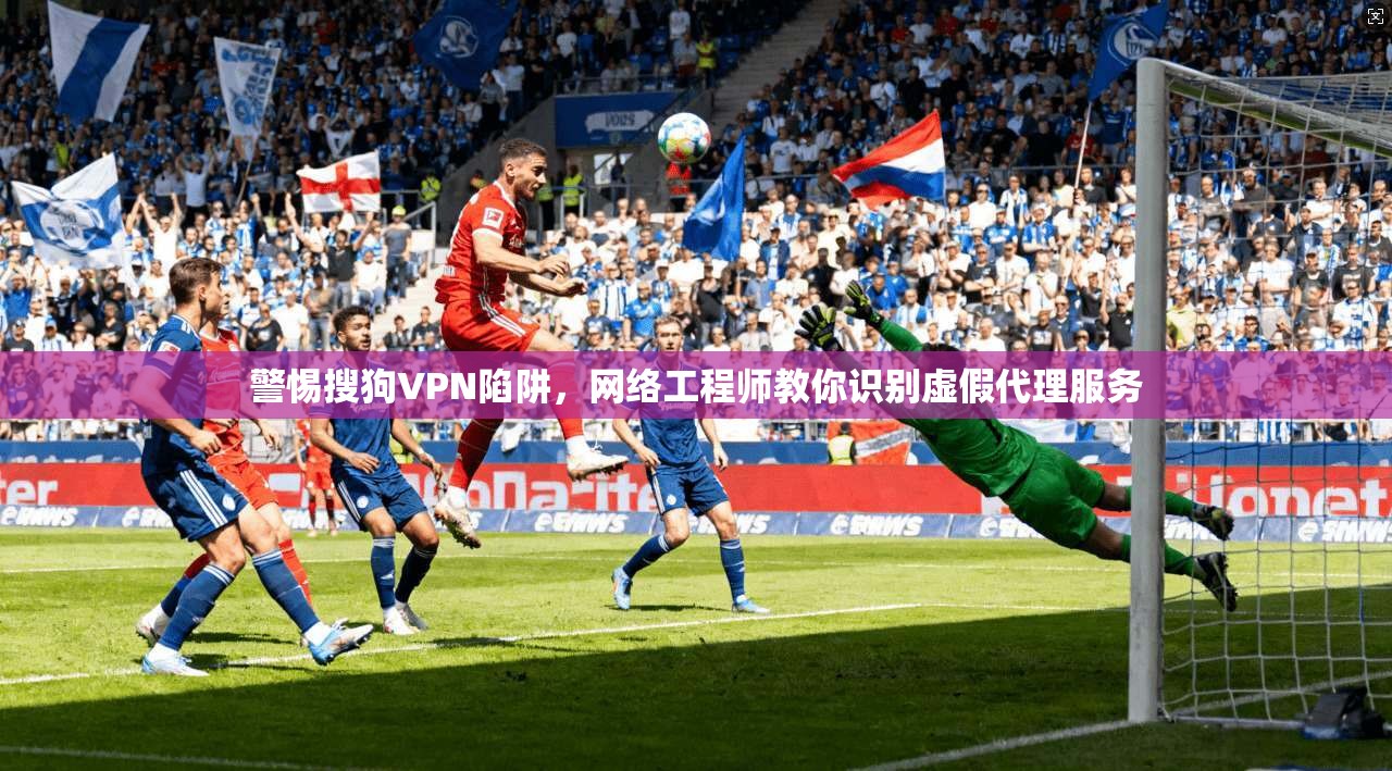 警惕搜狗VPN陷阱，网络工程师教你识别虚假代理服务