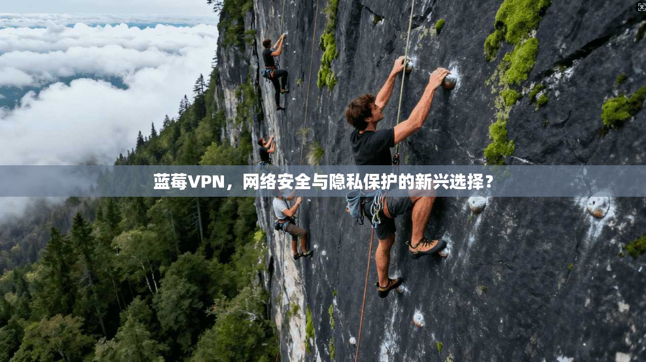 蓝莓VPN，网络安全与隐私保护的新兴选择？