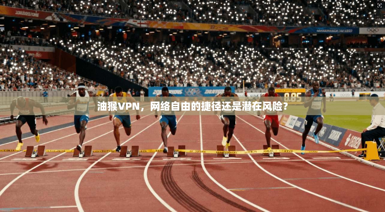 油猴VPN，网络自由的捷径还是潜在风险？