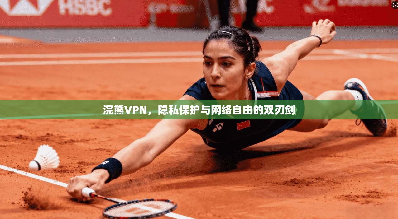 浣熊VPN，隐私保护与网络自由的双刃剑