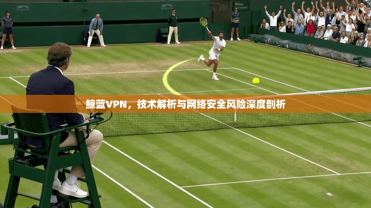 鲸蓝VPN，技术解析与网络安全风险深度剖析
