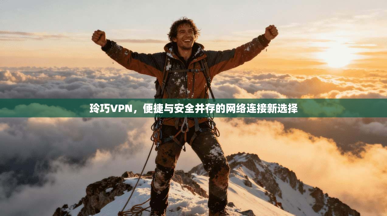 玲巧VPN，便捷与安全并存的网络连接新选择