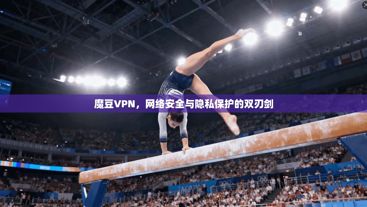 魔豆VPN，网络安全与隐私保护的双刃剑