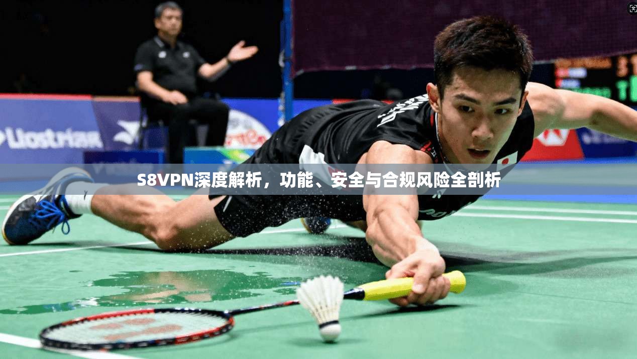 S8VPN深度解析，功能、安全与合规风险全剖析
