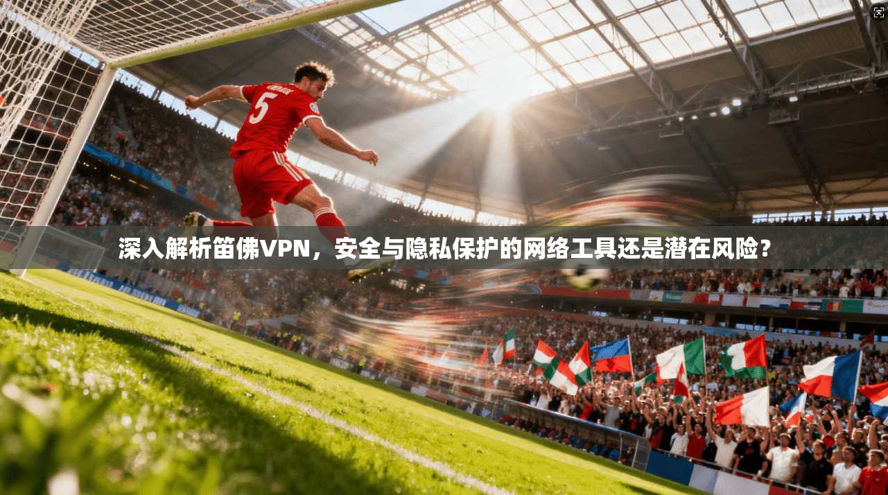 深入解析笛佛VPN，安全与隐私保护的网络工具还是潜在风险？