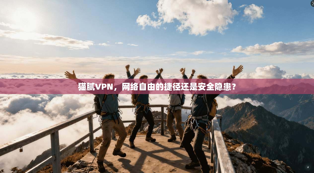 猫腻VPN，网络自由的捷径还是安全隐患？  第1张