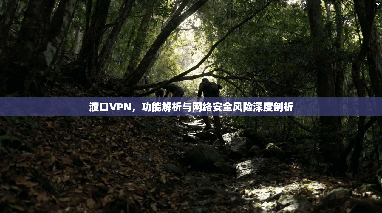渡口VPN，功能解析与网络安全风险深度剖析  第1张