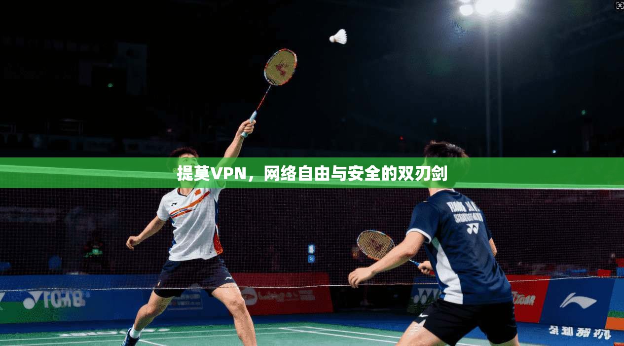提莫VPN，网络自由与安全的双刃剑  第1张