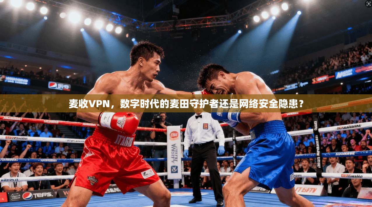 麦收VPN，数字时代的麦田守护者还是网络安全隐患？  第1张