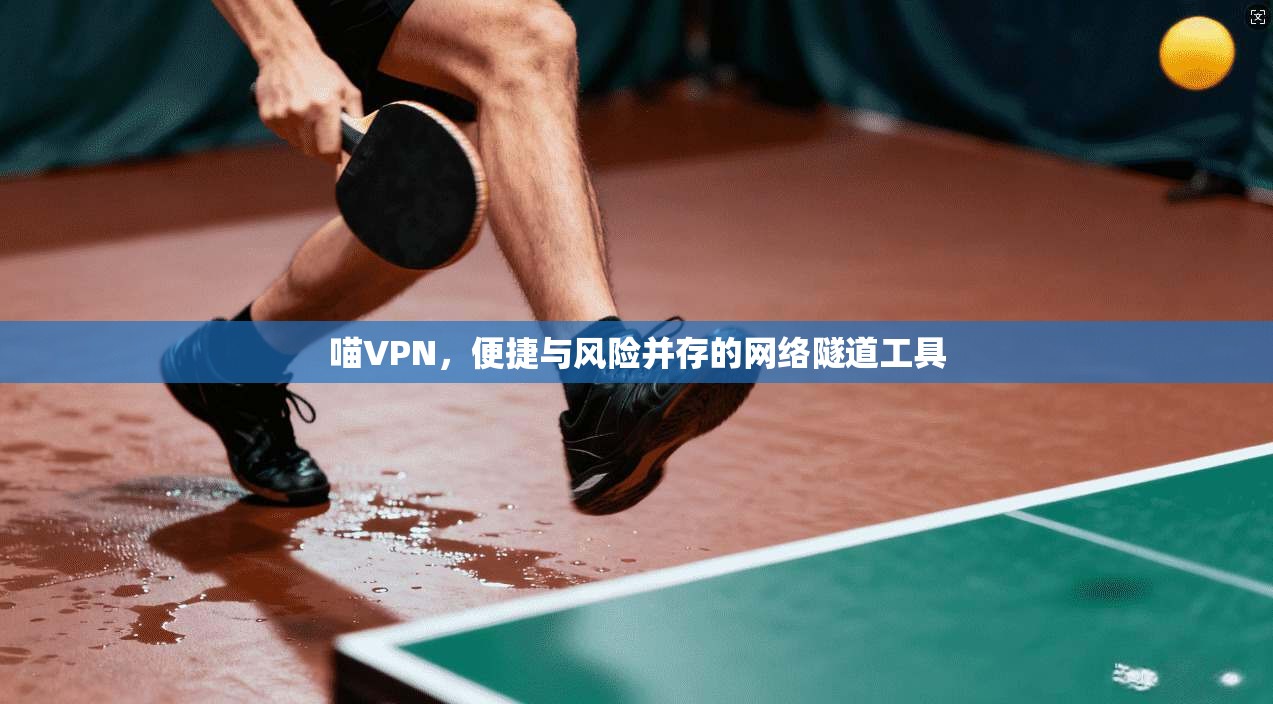 喵VPN，便捷与风险并存的网络隧道工具  第1张